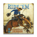 Ride 'Em Cowboy - Wood & Metal Wall Art