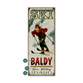 Mountain Momentum: Female Skier - Wood & Metal Wall Art