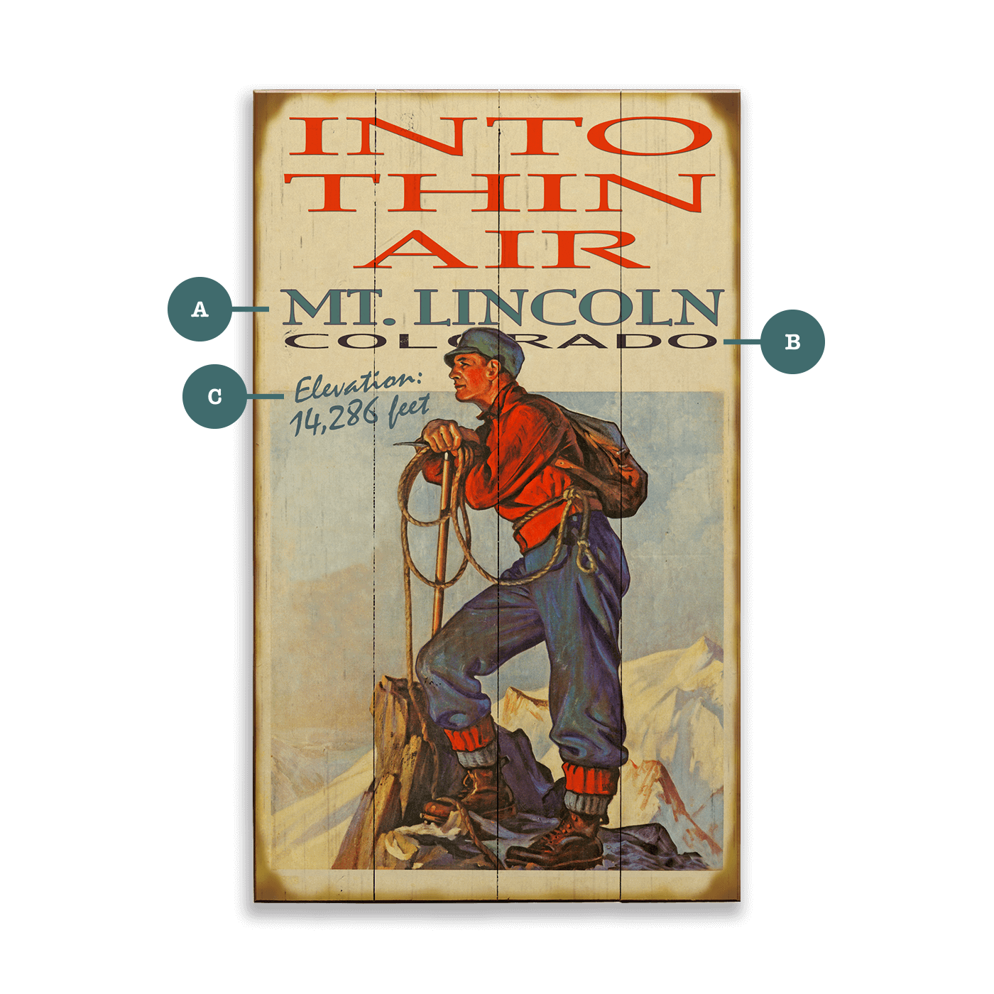 Into Thin Air - Wood & Metal Wall Art