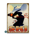 Downhill Rush Graphic Skier - Wood & Metal Wall Art