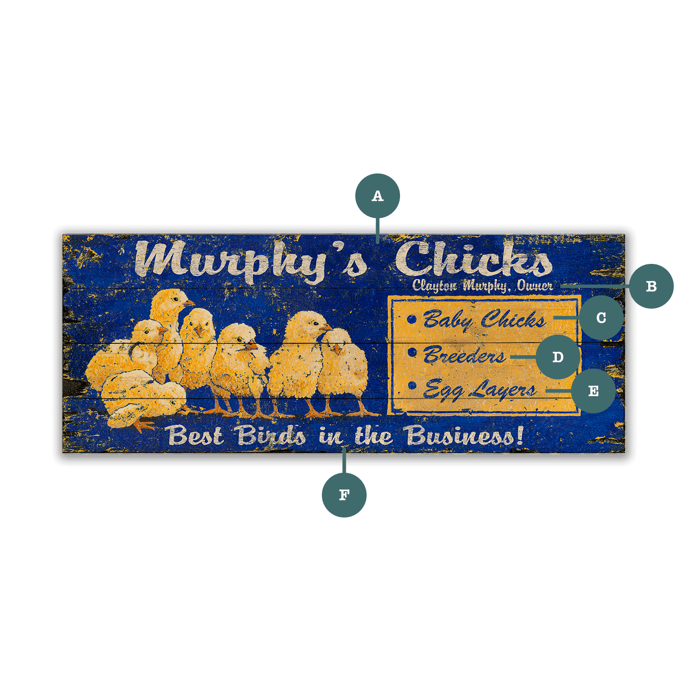 Murphy's Chicks - Wood & Metal Wall Art
