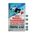 Downhill Ski Championships - Wood & Metal Wall Art