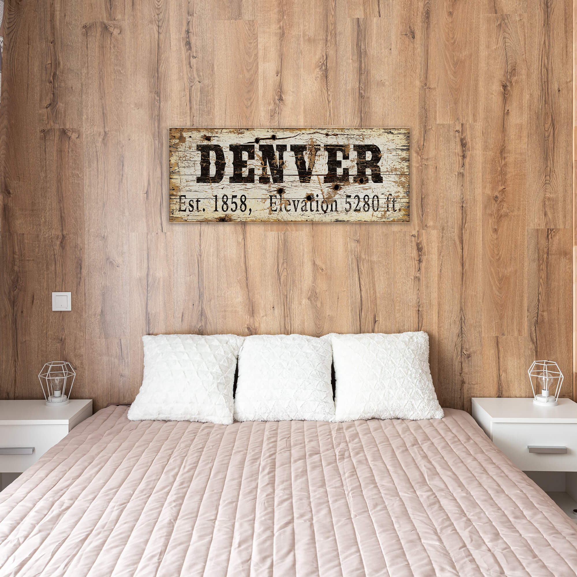 Denver Established & Elevation - Wood & Metal Wall Art