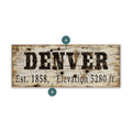 Denver Established & Elevation - Wood & Metal Wall Art
