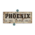 Phoenix Established & Elevation - Wood & Metal Wall Art