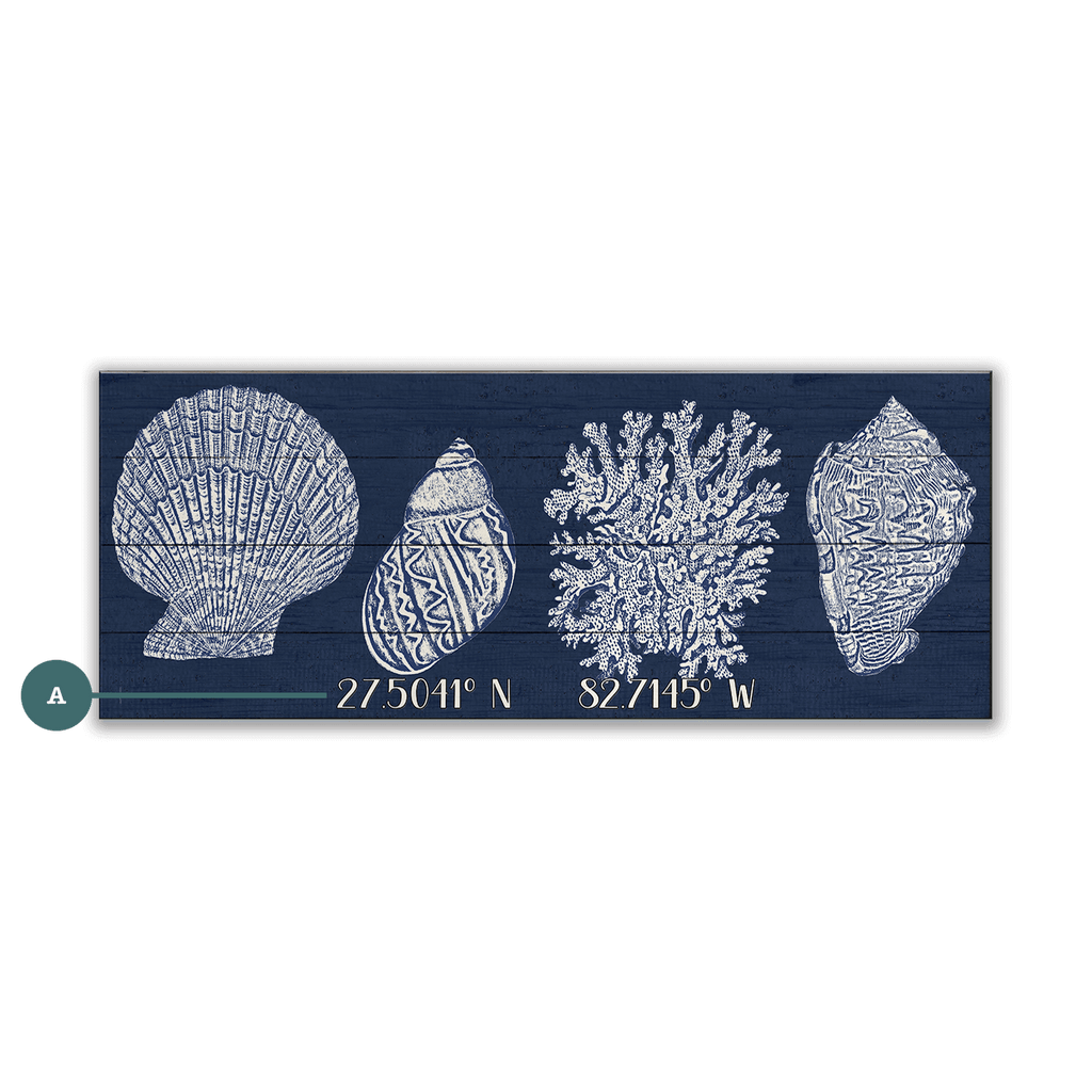 Seashell Latitude - Wood & Metal Wall Art
