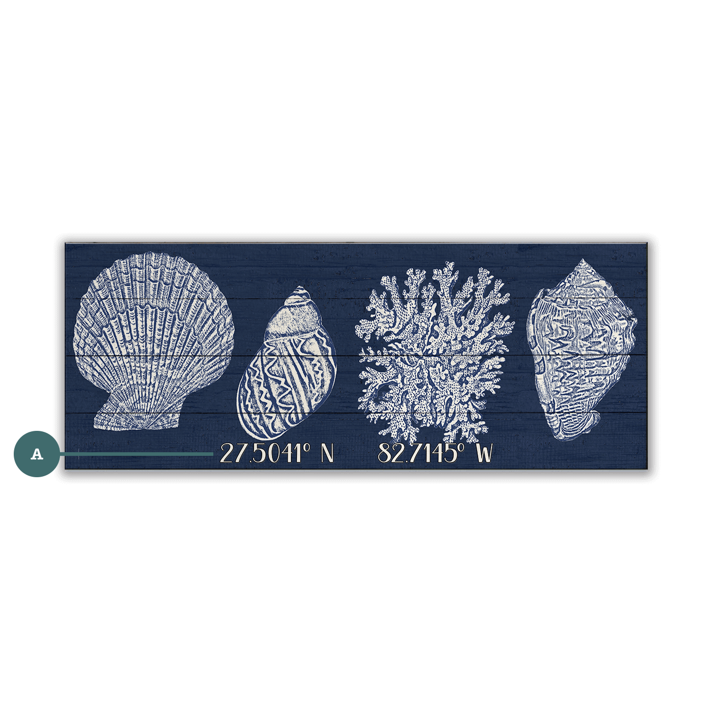 Seashell Latitude - Wood & Metal Wall Art
