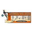 Learn to Ski - Wood Wall Decor