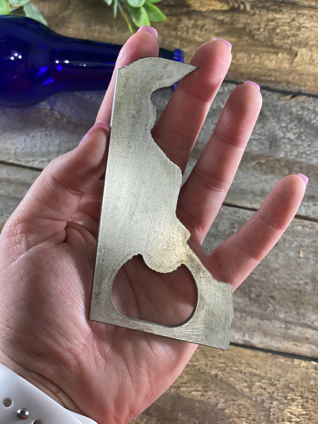 Delaware State Bottle Opener
