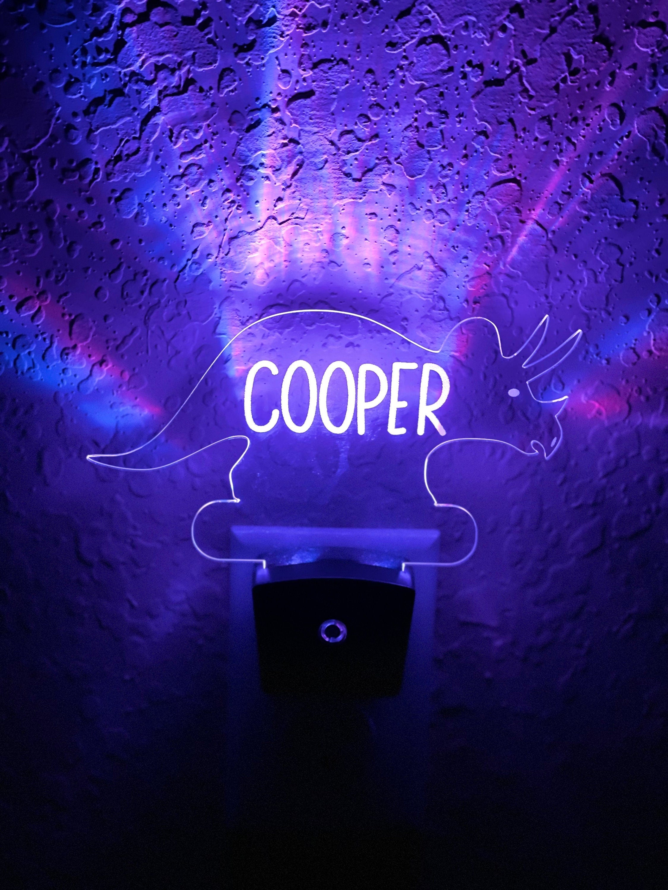 Personalized LED Styracosaurus  Dinosaur Night Light | 7 Color Changing | Plug in Night Light | Name Light | Children's Night Light