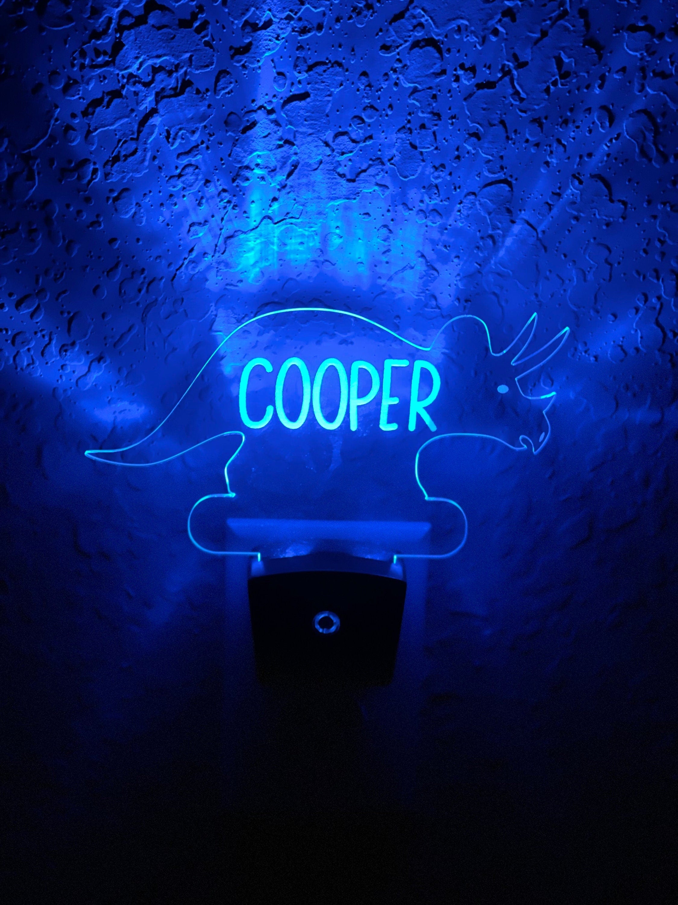 Personalized LED Styracosaurus  Dinosaur Night Light | 7 Color Changing | Plug in Night Light | Name Light | Children's Night Light