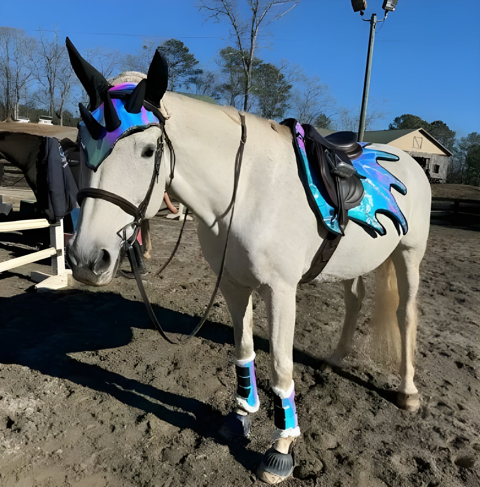 Dragon Saddle Pad, Ear Bonnet & Horse Boot Set, Breathable Shock-Absorbing Equestrian Gear