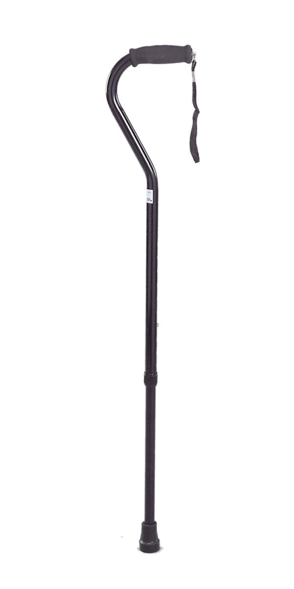 Single Point Cane